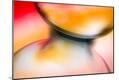 Premium Photographic Print