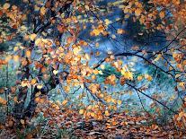 Spirit of Autumn-Ursula Abresch-Photographic Print