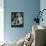 Ursula Andress-null-Framed Stretched Canvas displayed on a wall