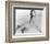 Ursula Andress-null-Framed Photo