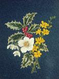 Holly, Winter Jasmine, Heath and Mistletoe-Ursula Hodgson-Giclee Print