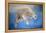 Ursus maritimus 2-Odile Kidd-Framed Premier Image Canvas