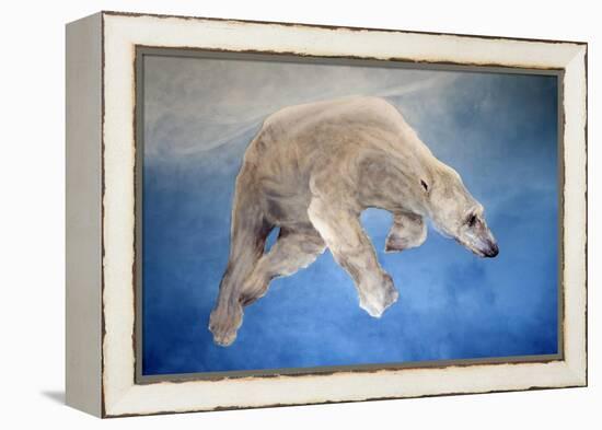 Ursus maritimus 2-Odile Kidd-Framed Premier Image Canvas