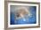 Ursus maritimus 2-Odile Kidd-Framed Giclee Print