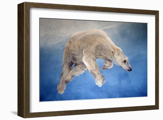 Ursus maritimus 2-Odile Kidd-Framed Giclee Print