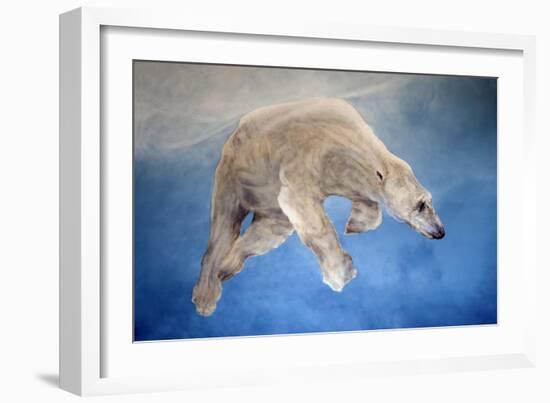 Ursus maritimus 2-Odile Kidd-Framed Giclee Print