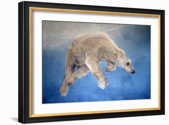 Ursus maritimus 2-Odile Kidd-Framed Giclee Print