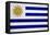 Uruguay Flag Design with Wood Patterning - Flags of the World Series-Philippe Hugonnard-Framed Stretched Canvas