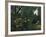 Urwald Mit Tiger Und Jaegern, um 1907-Henri Rousseau-Framed Giclee Print