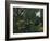 Urwald Mit Tiger Und Jaegern, um 1907-Henri Rousseau-Framed Giclee Print