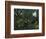 Urwald Mit Tiger Und Jaegern, um 1907-Henri Rousseau-Framed Giclee Print