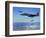 US Air Force F-15E Strike Eagle Aircraft Drops 2,000-Pound Joint Direct Attack Munitions-null-Framed Photographic Print