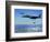 US Air Force F-15E Strike Eagle Aircraft Drops 2,000-Pound Joint Direct Attack Munitions-null-Framed Photographic Print