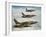 Us Air Force Republic F-105 Thunderchief Fighters-null-Framed Giclee Print