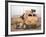 US Army Armored Truck-Stocktrek Images-Framed Photographic Print