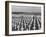 US Army Cemetery at Omaha Beach-Leonard Mccombe-Framed Photographic Print