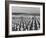 US Army Cemetery at Omaha Beach-Leonard Mccombe-Framed Photographic Print