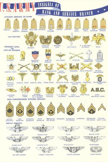 'US Army Rank and Service Insignia' Art Print | Art.com