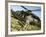 US Army Soldiers Board a UH-60 Black Hawk Helicopter-Stocktrek Images-Framed Photographic Print