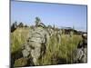 US Army Soldiers Prepare to Board a UH-60 Black Hawk Helicopter-Stocktrek Images-Mounted Photographic Print