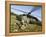 US Army Soldiers Prepare to Board a UH-60 Black Hawk Helicopter-Stocktrek Images-Framed Premier Image Canvas