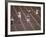 US Athlete Michael Larrabee Winning the 400 Meters at the Summer Olympics-George Silk-Framed Premium Photographic Print