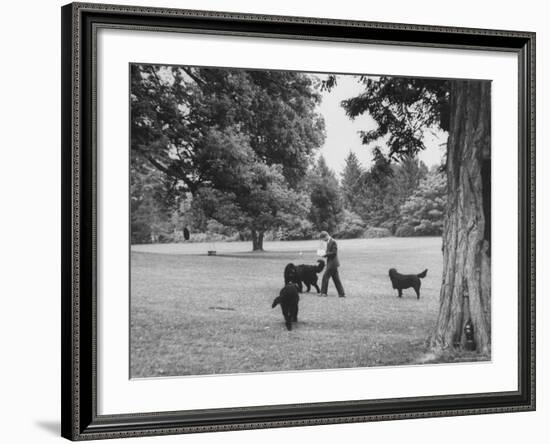 US Attorney General Robert Kennedy Reading a Book While Walking Across the Lawn with His Three Dogs-George Silk-Framed Premium Photographic Print
