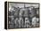 US Bobsledding Team Drinking Beer as Part of Diet to Keep Weight Up-null-Framed Premier Image Canvas