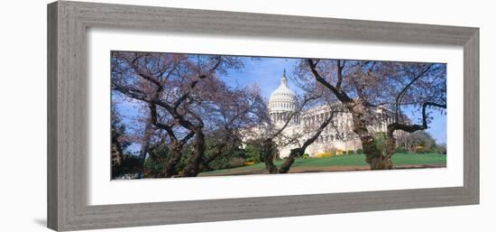 Us Capitol Building and Cherry Blossoms, Washington Dc-null-Framed Photographic Print