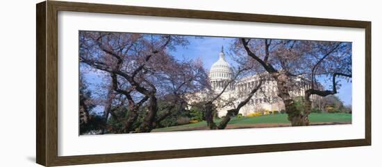 Us Capitol Building and Cherry Blossoms, Washington Dc-null-Framed Photographic Print