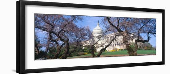 Us Capitol Building and Cherry Blossoms, Washington Dc-null-Framed Photographic Print