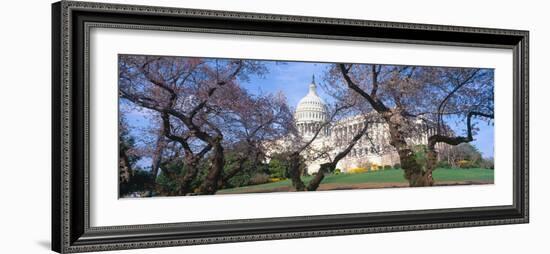 Us Capitol Building and Cherry Blossoms, Washington Dc-null-Framed Photographic Print