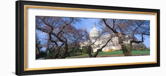 Us Capitol Building and Cherry Blossoms, Washington Dc-null-Framed Photographic Print