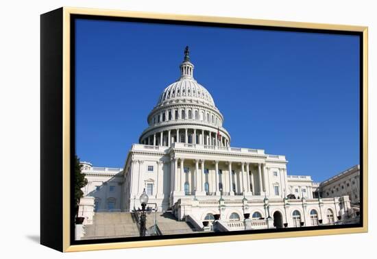 US Capitol, Washington DC-sborisov-Framed Premier Image Canvas