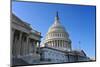 US Capitol, Washington DC-sborisov-Mounted Photographic Print