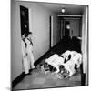 US Coast Guard Academy, Lower Classmen Bowing over Books, Hoping for Luck in Examinations-William C^ Shrout-Mounted Photographic Print