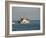 Us Coast Guard, Key West, Florida, USA-R H Productions-Framed Photographic Print