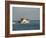 Us Coast Guard, Key West, Florida, USA-R H Productions-Framed Photographic Print