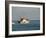 Us Coast Guard, Key West, Florida, USA-R H Productions-Framed Photographic Print