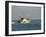 Us Coast Guard, Key West, Florida, USA-R H Productions-Framed Photographic Print