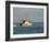 Us Coast Guard, Key West, Florida, USA-R H Productions-Framed Photographic Print