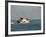 Us Coast Guard, Key West, Florida, USA-R H Productions-Framed Photographic Print