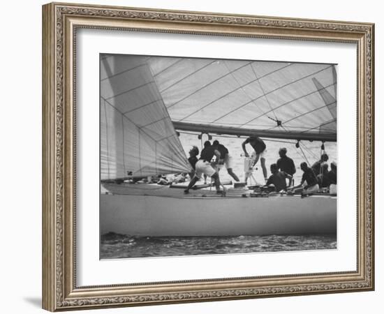 US Contender "Constellation" in America's Cup Race During Cup Trials Off-null-Framed Photographic Print