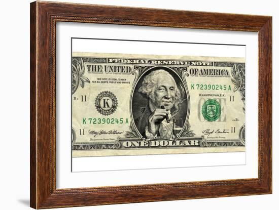 US Dollar Bill, George Washington Parody-SMETEK-Framed Photographic Print