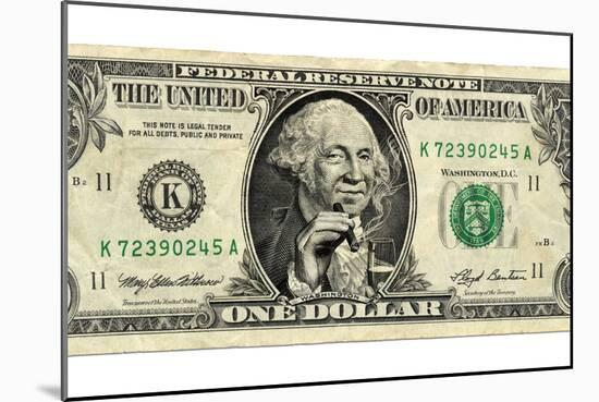 US Dollar Bill, George Washington Parody-SMETEK-Mounted Photographic Print