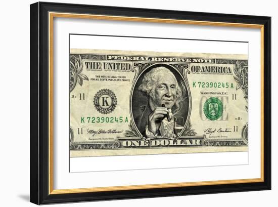 US Dollar Bill, George Washington Parody-SMETEK-Framed Photographic Print