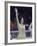 US Figure Skater Peggy Fleming after Winning Gold Medal, Winter Olympic Games in Grenoble, France-Art Rickerby-Framed Premium Photographic Print