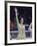 US Figure Skater Peggy Fleming after Winning Gold Medal, Winter Olympic Games in Grenoble, France-Art Rickerby-Framed Premium Photographic Print