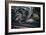 Us Firemans Helmet-Stephen Arens-Framed Photographic Print