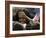 US First Lady Michelle Obama Greets the Crowd after Her Husband's Speech in Prague, Czech Republic-null-Framed Photographic Print